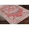 Livabliss Nolita NLT-2303 Machine Washable Area Rug NLT2303-7696 - alternate 5